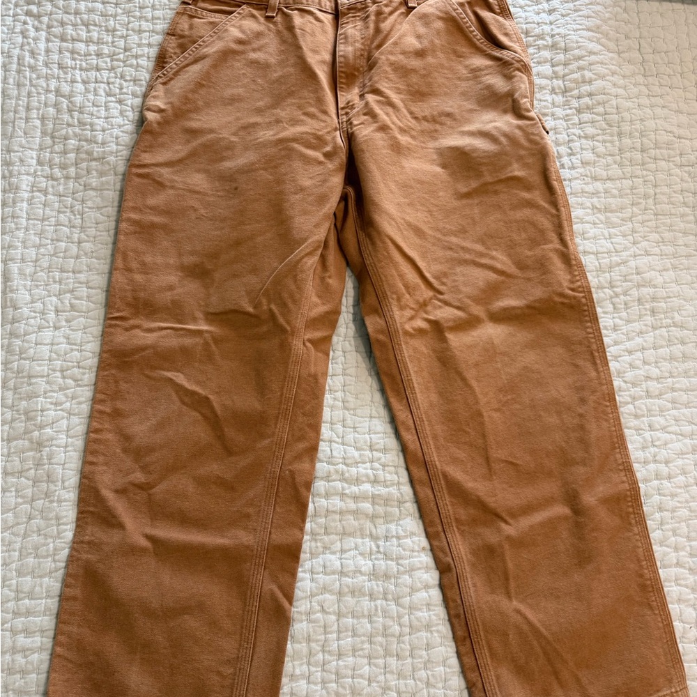 Carhartt Men's Brown Cargo Pants